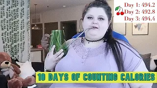 Amberlynn's counting calories curse