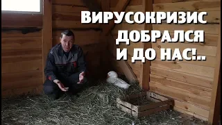 Как ВИРУСОКРИЗИС изменил нашу деревенскую жизнь?