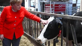 Merkel verspricht bessere Bedingungen für Bauern