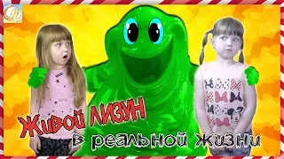 GIANT Slime in real life Funny video