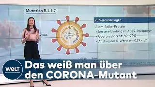 WELT HINTERGRUND: Corona-B.1.1.7-Mutant - Das sind die neuesten Informationen zum Virus