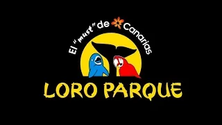 Loro Parque Tenerife 2019