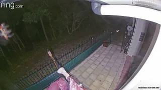 Real Faerie Caught on Ring Security Camera?