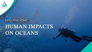 Human Impacts on Oceans, and How to Sustain Ocean Management