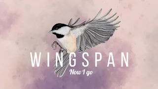 Paweł Górniak - Now I go - Wingspan Soundtrack