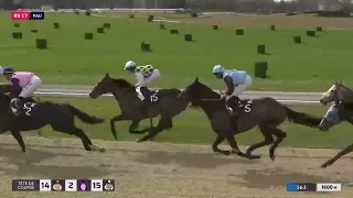 Prix L'Estrigon à Pau - Course de Royal Vati