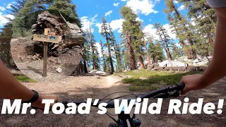 Mr. Toad's Wild Ride⎜Saxon Creek Trail⎜South Lake Tahoe Mountain Biking