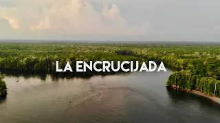 The impressive natural labyrinth on the coast of Chiapas - Biosfera la Encrucijada