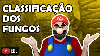 Classificação dos Fungos - Aula 10 - Módulo IV: Microbiologia, Fungos e Protistas | Prof Gui