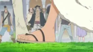 Luffy; sahte hasır şapkalara karşı haki