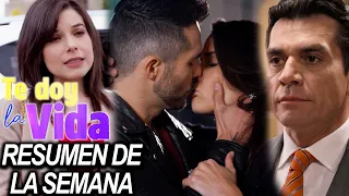 Grandes momentos de "Te doy la vida": Gina y Ernesto quieren impedir la felicidad de Elena y Pedro