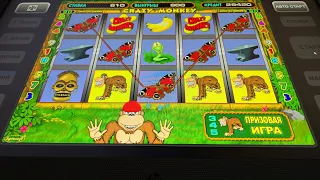 Сегодня НАЧАЛ играть в Crazy Monkey и вот чем ВСЕ закончилось ... | Игровые автоматы в онлайн казино