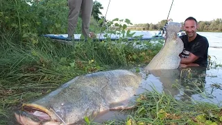 Catfish Monster VS small Spinning Rod - 250 pounds X 2,53 mts by Yuri Grisendi