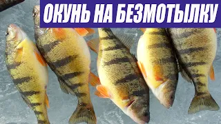 ЛУЧШАЯ БЕЗМОТЫЛКА ПО ОКУНЮ!!! - Дикий клев крупного окуня!!!