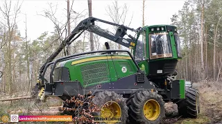 Harvester John Deere 1170G & John Deere 770D im Starkholz-Kahlschlag