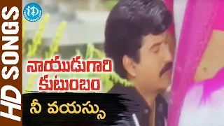 Nee Vayassu Video Song - Nayudu Gari Kutumbam Movie || Krishnam Raju || Suman || Sanghavi || Koti