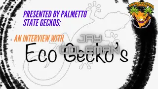 Interview With Jay Coleman of Eco Gecko