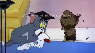 #tomandjerry