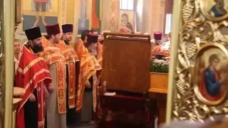 Встреча святынь со Святой Горы Афон монастыря Зограф в Алчевске (2)