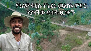 #የጌዴኦ የዓለም ቅርስ ድብቅ ፀጋዎች #ሀገሬ #ጉዞ_ኢትዮጵያ #ጌዴኦ  #Gedeo #Dilla #travelEthiopia #ethiopiangeographic