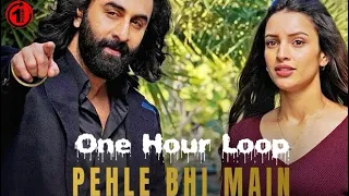 ANIMAL:PEHLE BHI MAIN | 1 Hour Version | Ranbir Kapoor,Tripti Dimri | Sandeep V | Vishal M,Raj S