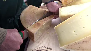 Il formaggio che costa 300 euro al chilo: dalla Valtellina un "pezzo della storia della montagna"