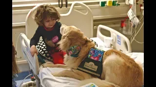 Close to half a million Valentines sent to patients at Cincinnati Children's