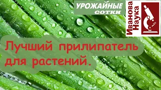 Как усилить действие любого препарата? Лучший прилипатель для всех препаратов!