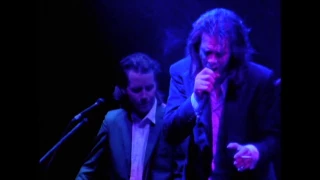 The Ship Song - Lovely Creatures: The Best of Nick Cave & The Bad Seeds DVD
