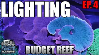 LIGHTING Your Budget Reef Tank - What Lights Should You Consider and Why?