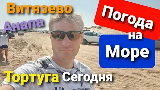 #ВИТЯЗЕВО #АНАПА ПОГОДА НА МОРЕ СЕГОДНЯ, ТОРТУГА , АКВАТОРИЯ