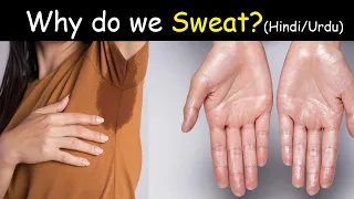 Why do we sweats in Hindi/Urdu | What is Eccrine and Apocrine glands?