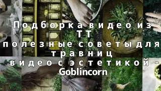 Подборка видео из ТТ с полезными совета для травниц и просто видео с эстетикой - Goblincorn