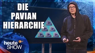 Gesellschaft funktioniert wie ein Pavianhügel (Nico Semsrott) | heute-show vom 12.05.2017