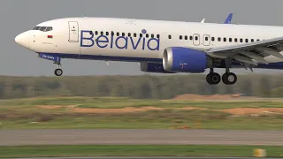 Boeing 737 MAX 8 Belavia, вечерний рейс из Минска, Домодедово 04.08.23.