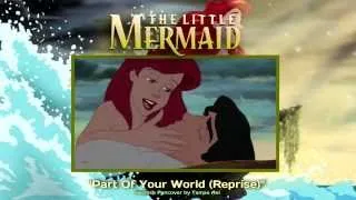 ๑ The Little Mermaid - Part Of Your World (Reprise)「Swedish Fancover」๑