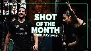 Squash Shots of the Month - February 2024 💥