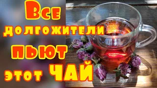 СЕКРЕТ ЗДОРОВЬЯ в этом ЧАЕ. СНИЖАЕТ ДАВЛЕНИЕ и ХОЛЕСТЕРИН. ПЕЙ и будешь ЗДОРОВ!