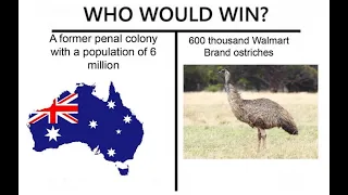 The Great Emu War Reaction