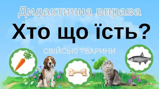 ХТО ЩО ЇСТЬ? дидактична гра / що їдять СВІЙСЬКІ ТВАРИНИ