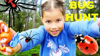 Nature Walk Bug Hunt Spiders Termites AT The Pinnacles NSW National Parks Australia