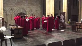 Miserere Mei - Allegri