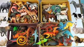 animals entertainment 13+ dinosaur cow elephant horse tiger shark frog sea animals.. Animals Demo