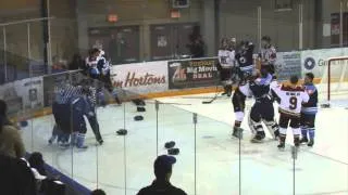 Ice Hockey Goalie fight