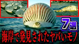 【都市伝説】海岸にて発見されたヤバすぎるモノや生物7選！！