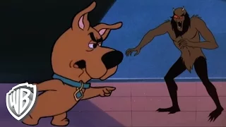 Scooby-Doo! | You're Dealing With Scrappy-Doo now!