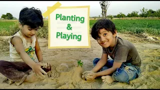 Planting in Clay Soil - Trees Shrubs and Plants | ZORAIZ OFFICIAL