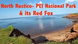 Explore the beautiful North Rustico - Prince Edward Island National Park