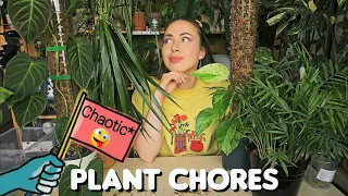 VERY ~cHaOTic~ PLANT CHORES ☠️🌿Moss poles extensions, repotting and overall struggling