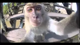 Funny situation with humans and animals/ УГАРНЫЕ ПРИКОЛЫ ФЕВРАЛЯ 2016